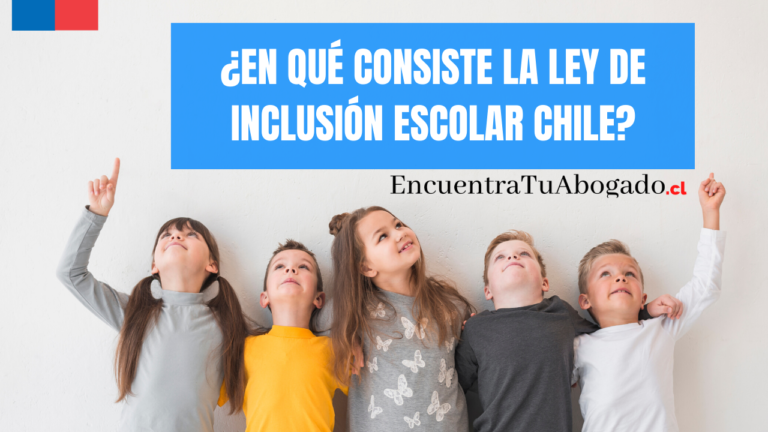 En qué consiste la Ley de Inclusión Escolar
